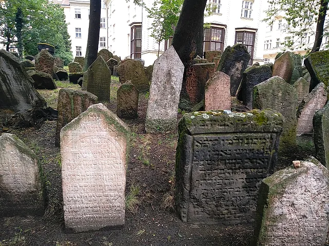 Verwitterte Grabsteine mit hebräischen Inschriften stehen zwischen Gras und Bäumen, dahinter erheben sich helle Wohnhäuser mit hohen Fenstern.